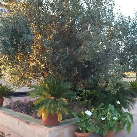 Valencia Country House Bed and breakfast 3*