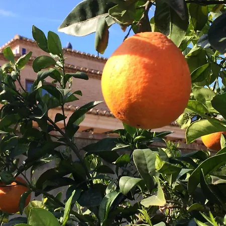 Valencia Country House Bed and breakfast San Antonio de Benagéber